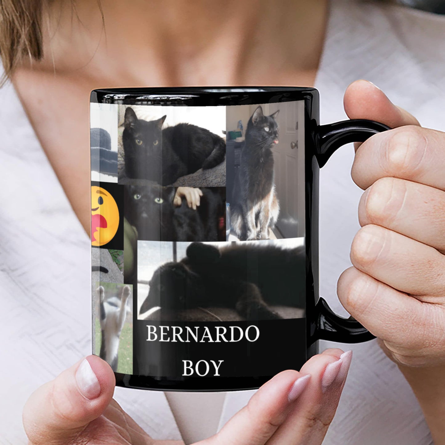 CATS I LOVE